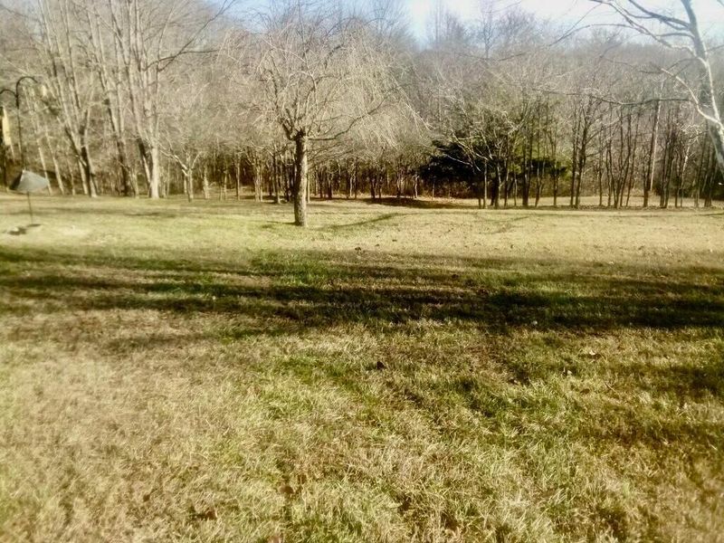 64310 State Route 56, Creola, OH 45622 Photo 14