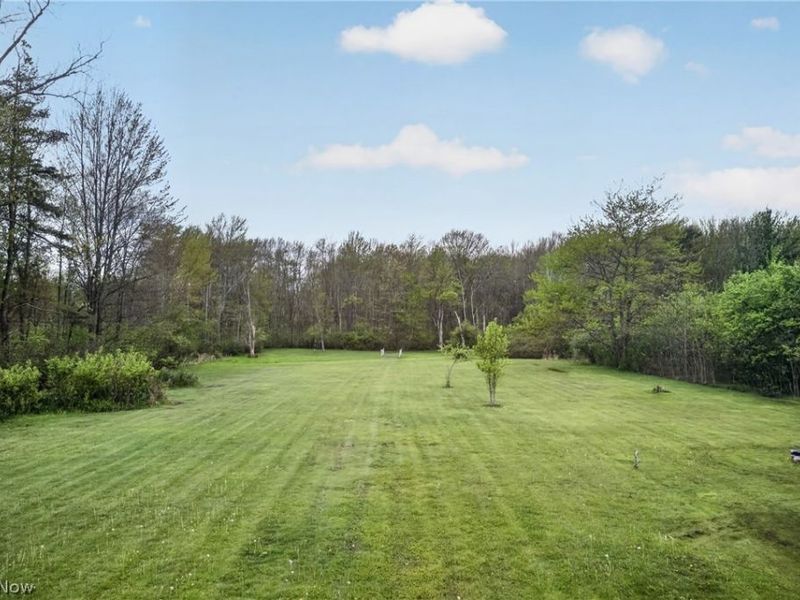 10650 Chillicothe Road, Kirtland, OH 44094 Photo 46