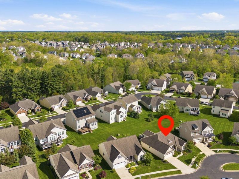 6372 Tournament Drive, Westerville, OH 43082 Photo 42