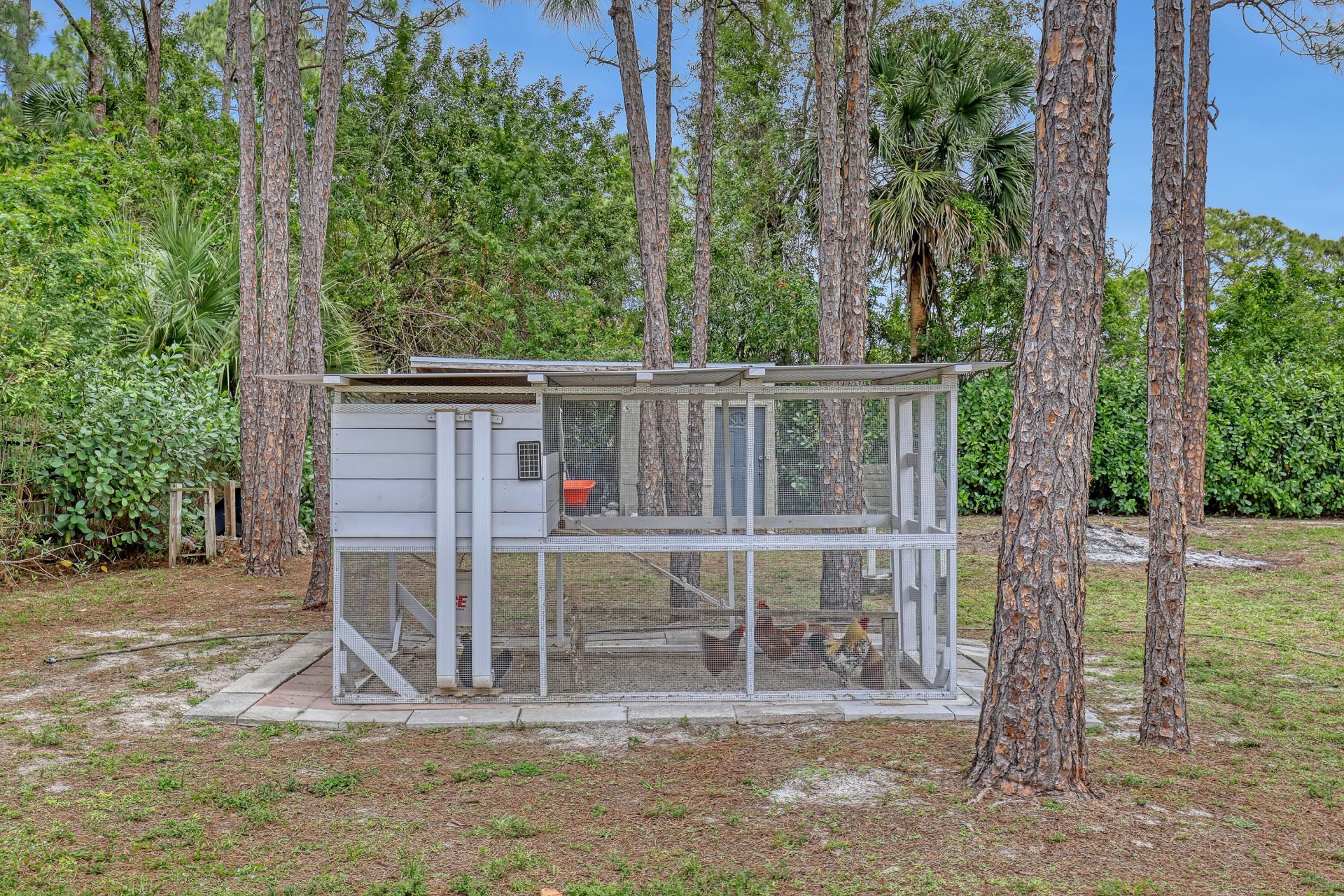 17271 N 88th Rd Road N, The Acreage, FL 33470 Photo