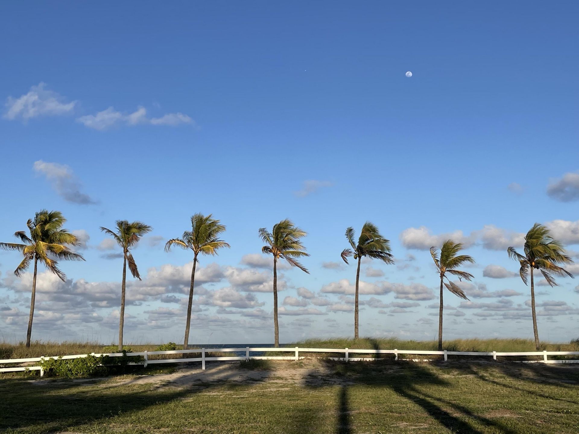 4629 Poinciana Street, Unit 317, Lauderdale by the Sea, FL 33308 Photo