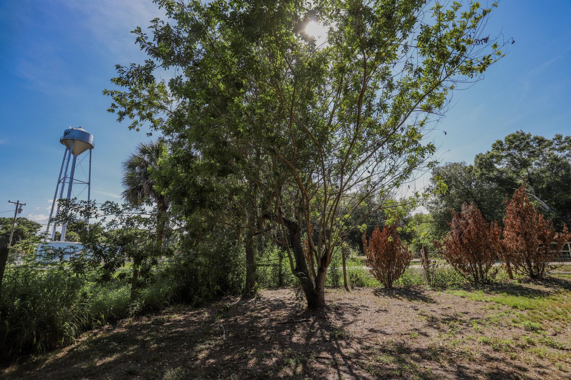 1100 Red Barn Rd N W, Moore Haven, FL 33471 Photo