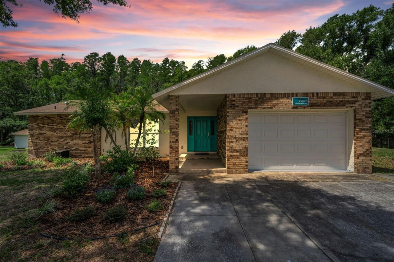 21823 Shamu Drive, Land O Lakes, FL 34639 Main Photo