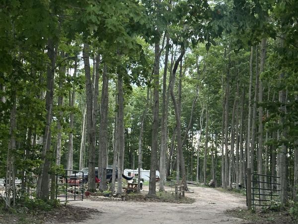 2243 Old State Road, Beulah, MI 49617