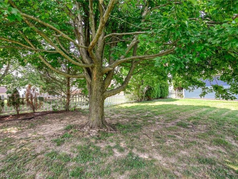 835 Yorkshire Drive, Ravenna, OH 44266 Photo 31