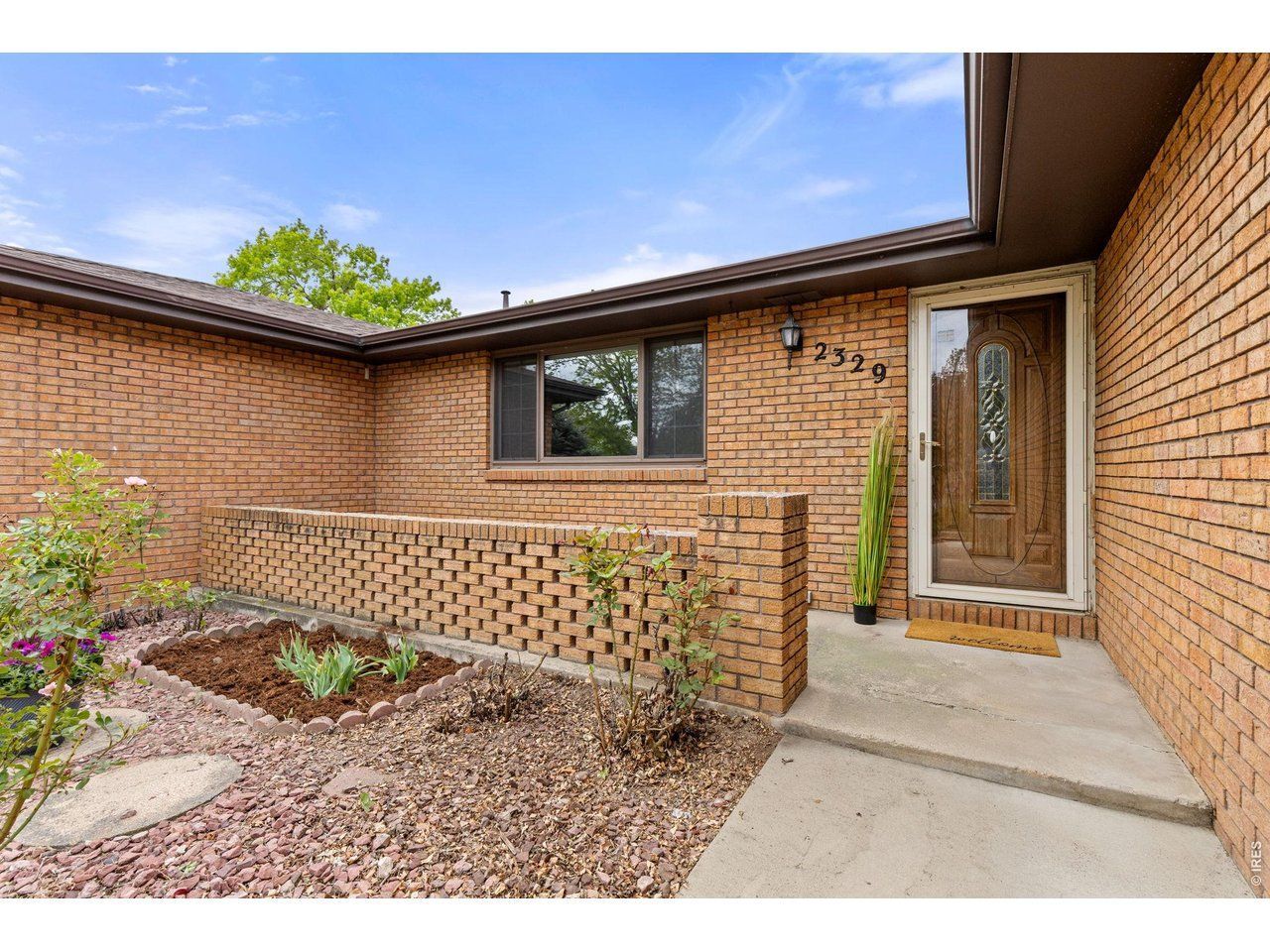 2329 Corey St, Longmont, CO 80501 Main Photo