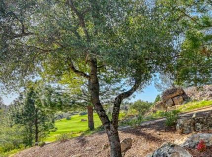 1412 Lodge View Dr, Meadow Vista, CA 95722 Photo