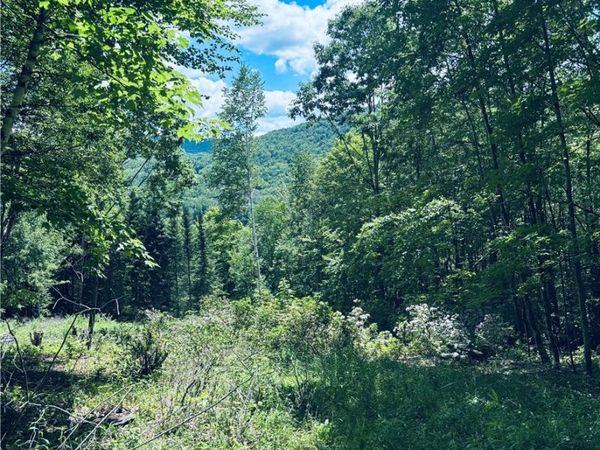 State Highway 30, Andes, NY 13731