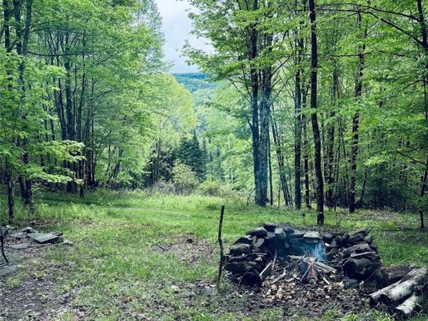 State Highway 30, Andes, NY 13731
