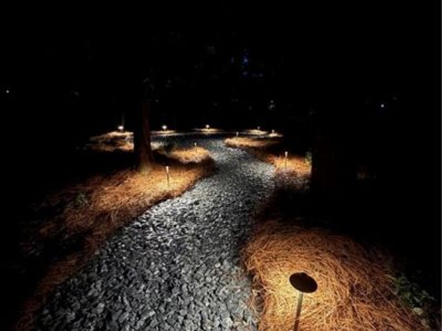 Property Image 74