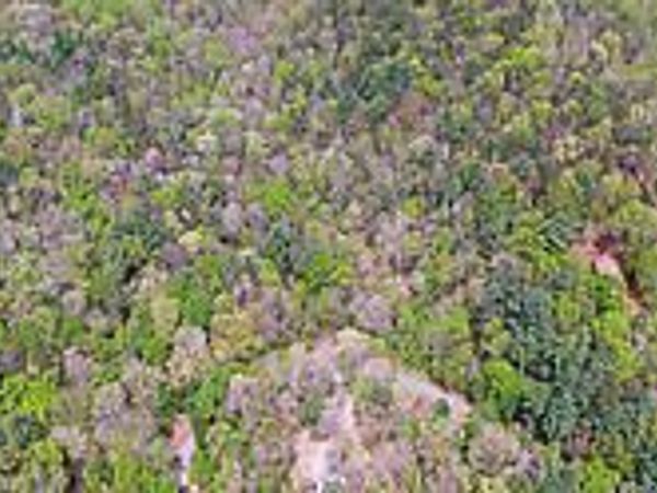 TRACT 2 Clayton Gooch Road, Dahlonega, GA 30533