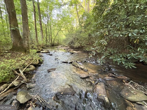 443 Mt Springer Road, Ellijay, GA 30540