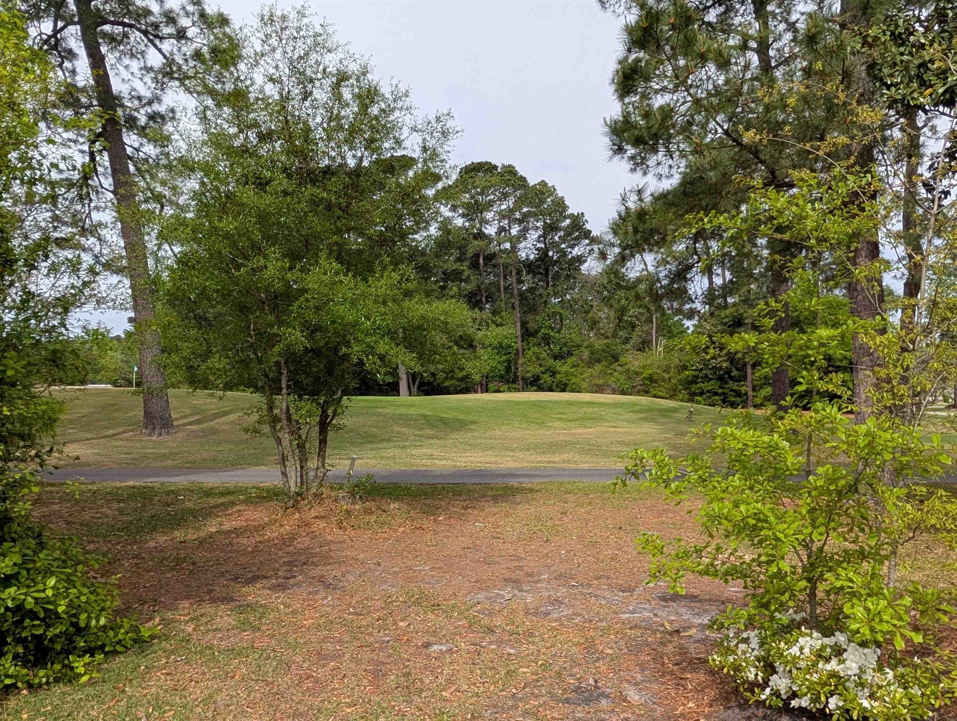 118 Erskine Dr. Photo 10