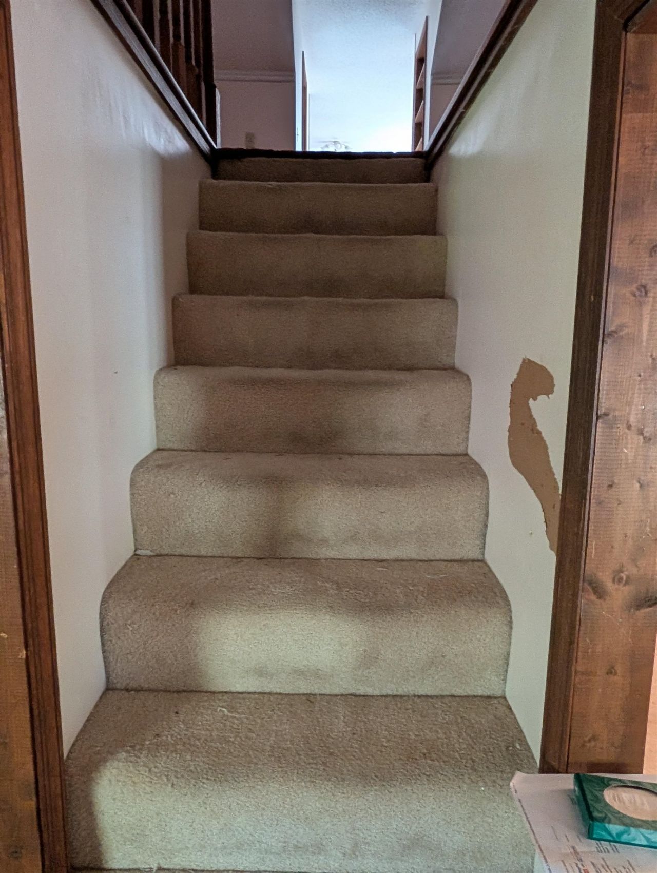 118 Erskine Dr. Photo 25
