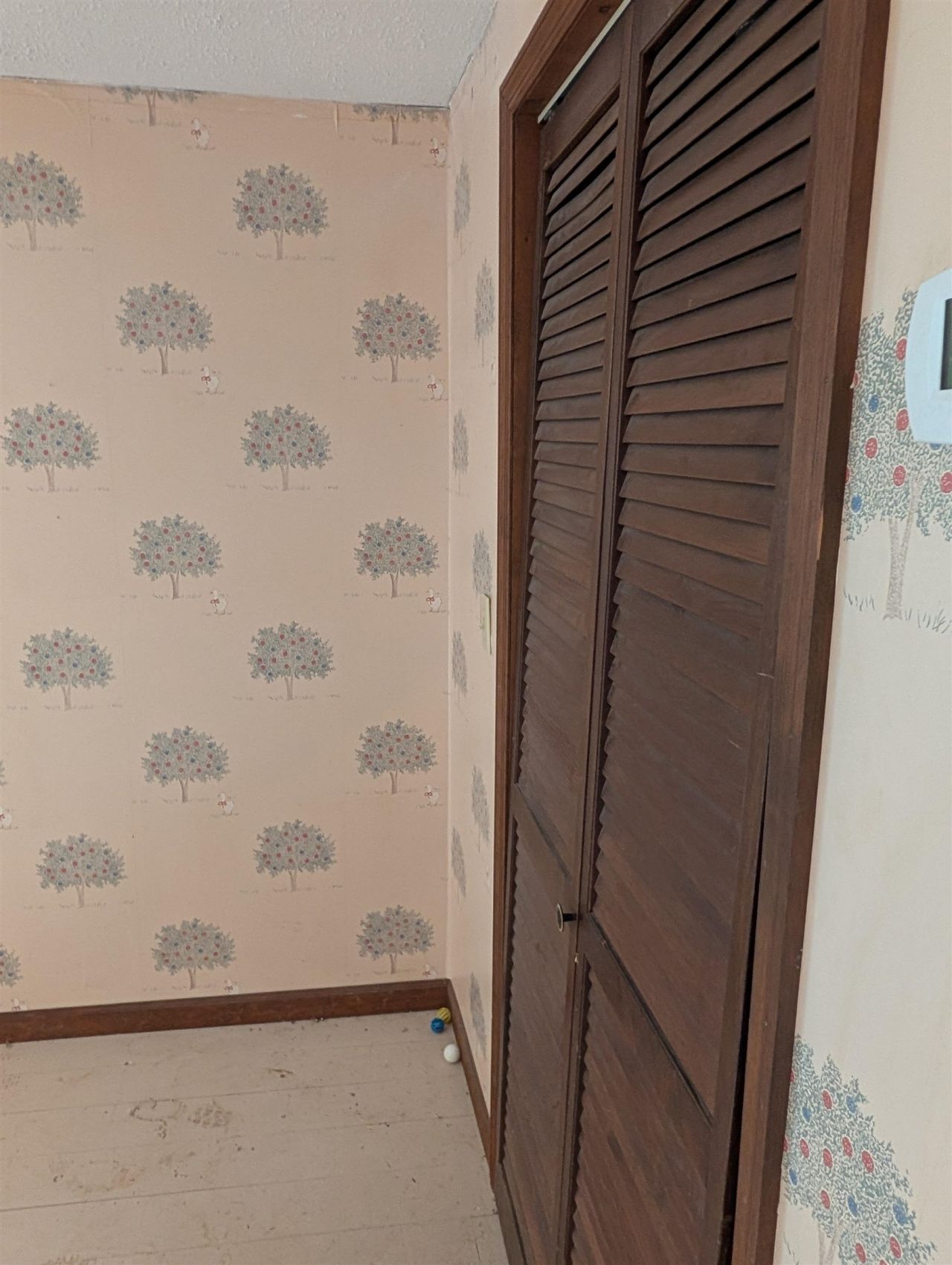 118 Erskine Dr. Photo 32