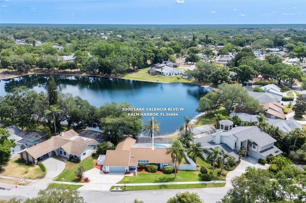 5000 Lake Valencia Boulevard W, Palm Harbor, FL 34684 Photo