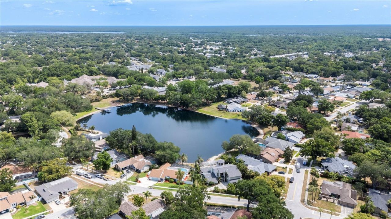 5000 Lake Valencia Boulevard W, Palm Harbor, FL 34684 Photo