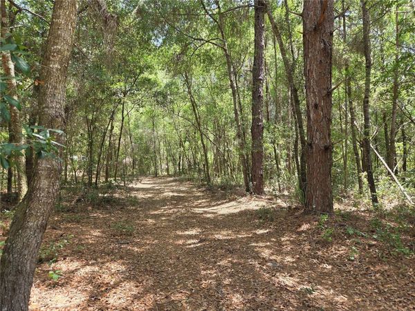 11953 N GLENVIEW AVENUE, DUNNELLON, FL 34434