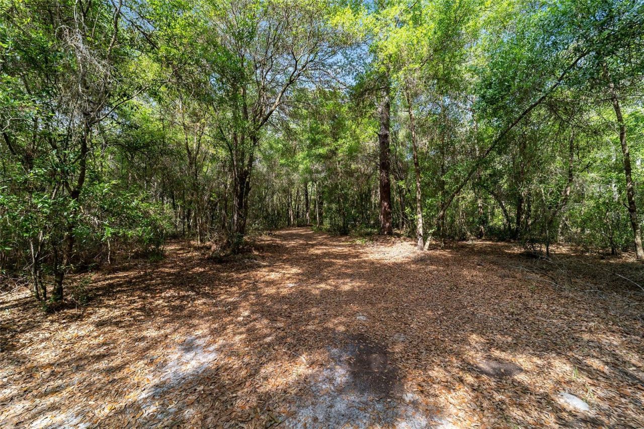11953 N Glenview Avenue, Dunnellon, FL 34434 Photo