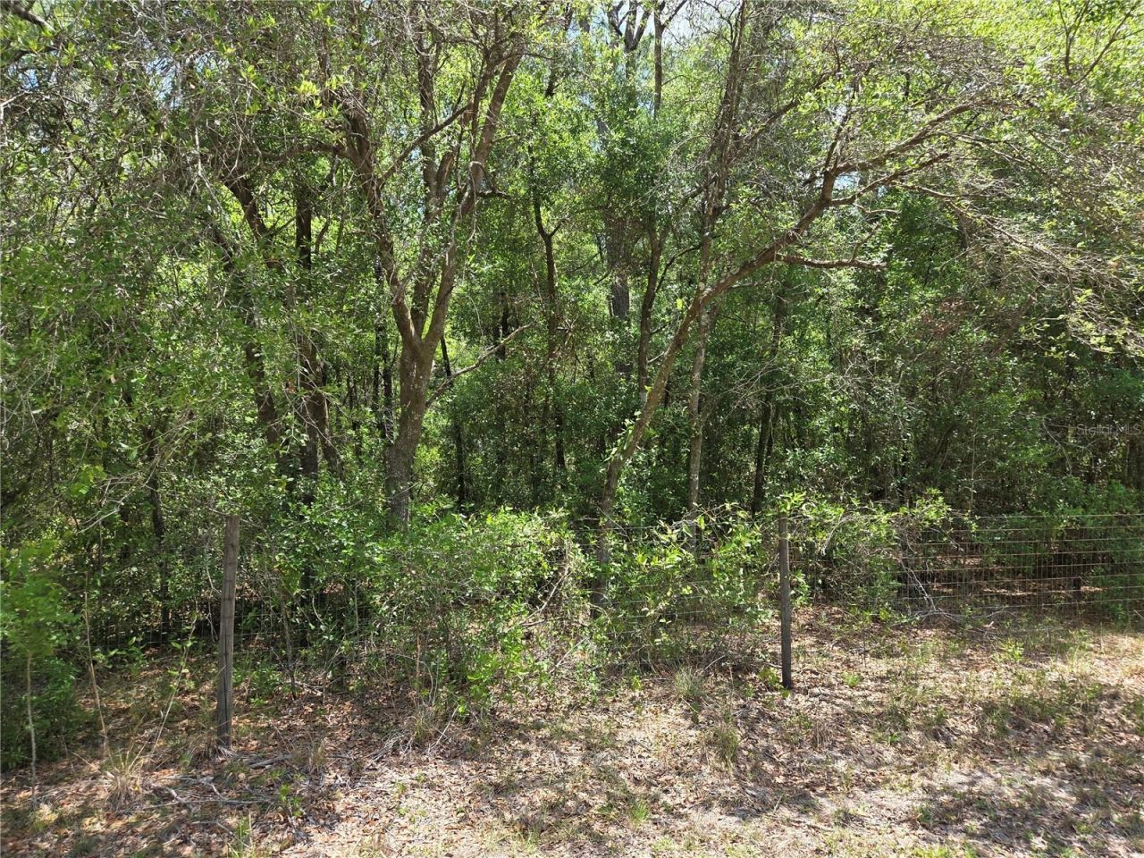 11953 N Glenview Avenue, Dunnellon, FL 34434 Photo