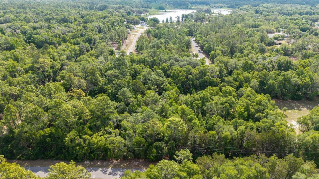 11953 N Glenview Avenue, Dunnellon, FL 34434 Photo