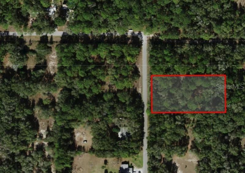 11953 N Glenview Avenue, Dunnellon, FL 34434 Photo