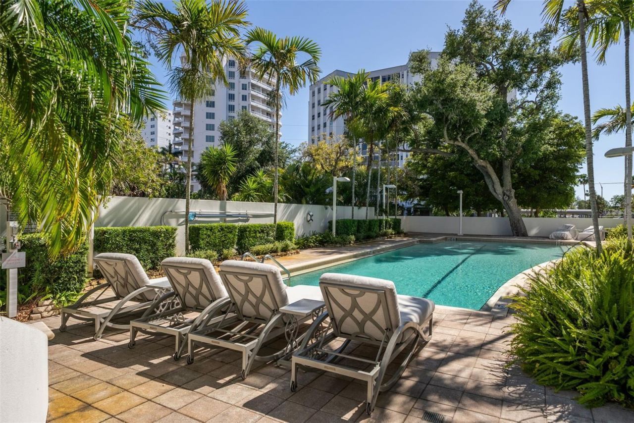 401 S Palm Avenue, Unit 1102, Sarasota, FL 34236 Photo