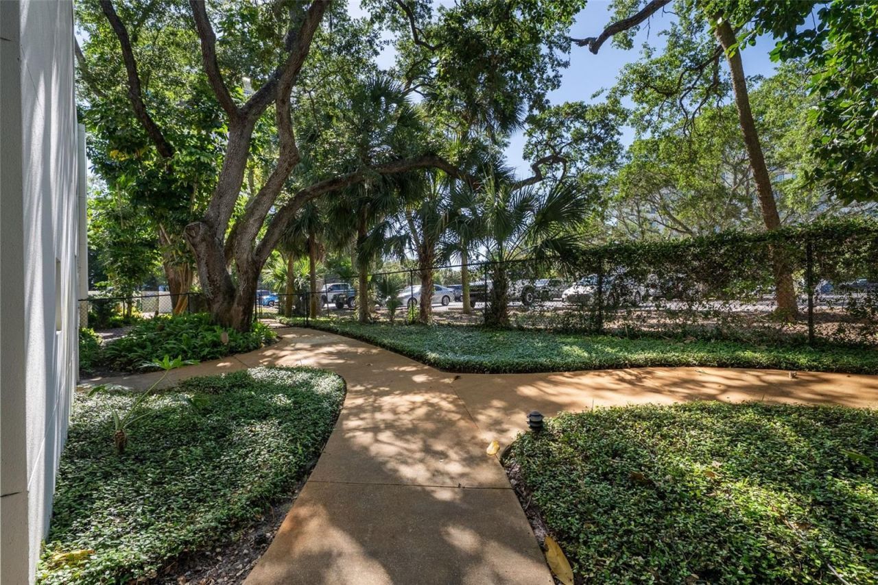 401 S Palm Avenue, Unit 1102, Sarasota, FL 34236 Photo
