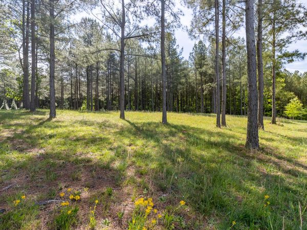 1600 Raulston Falls Road, Jasper, TN 37347