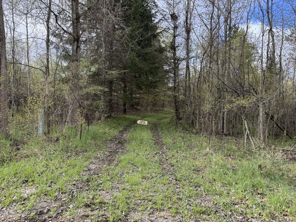 6920 Pringle Street NE, Sand Lake, MI 49343