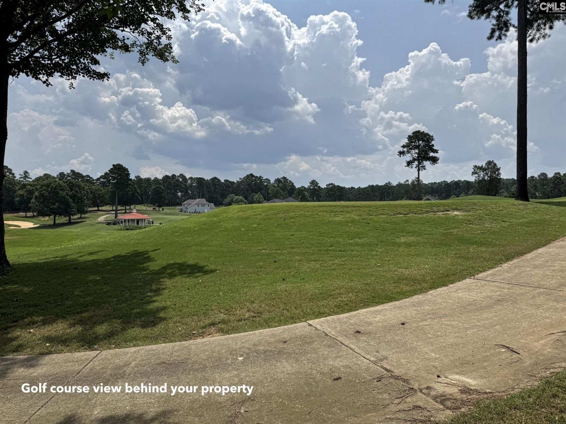 1240 Coogler Crossing Drive Photo 5