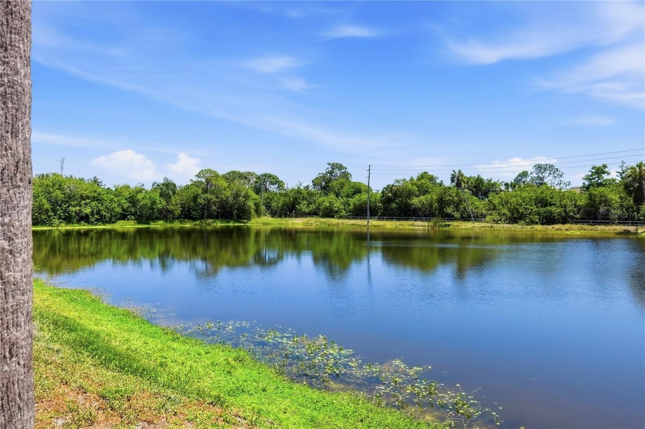 724 115 Avenue N, Unit 2205, Saint Petersburg, FL 33716 Photo