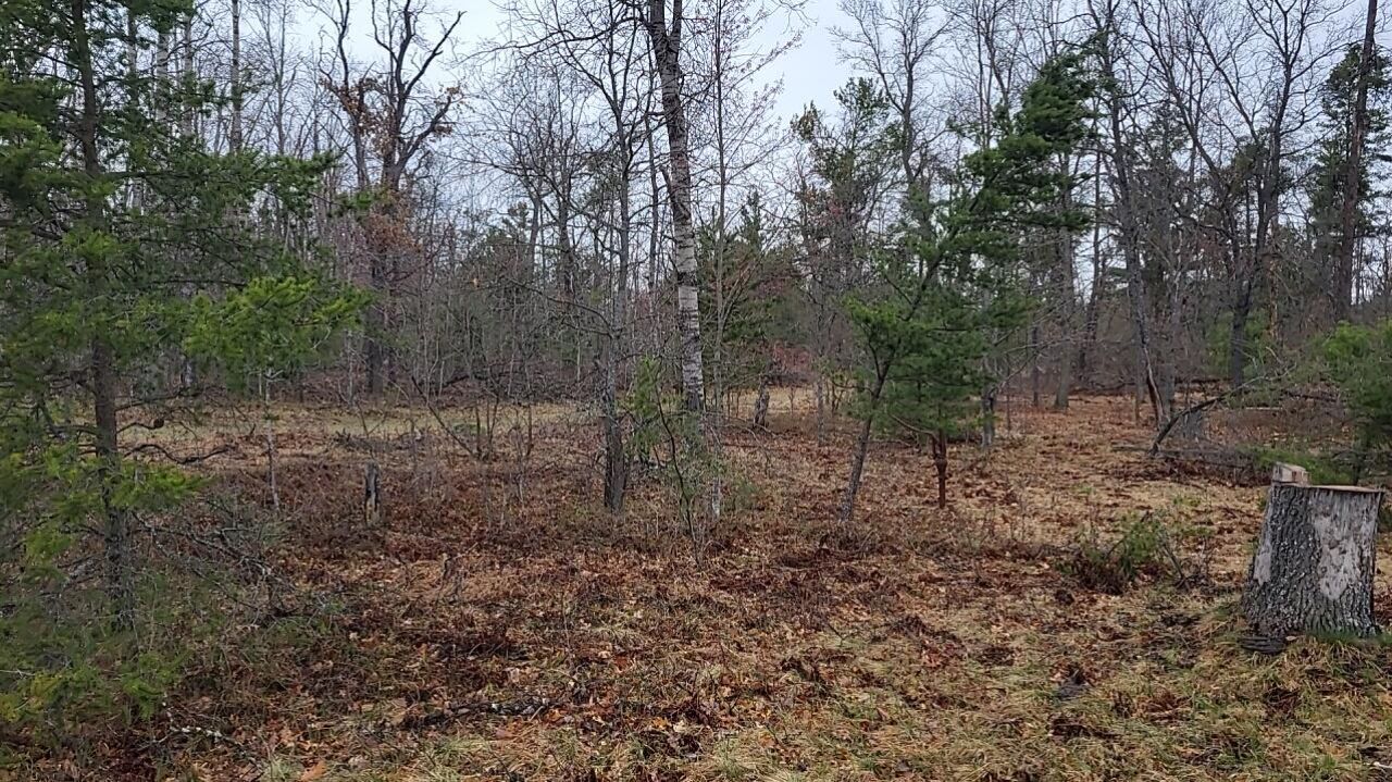 4031 Diamond Drive, Grayling, MI 49738 Main Photo