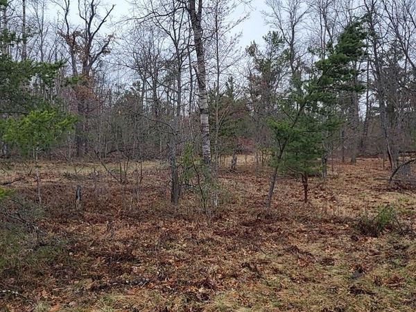 4031 Diamond Drive, Grayling, MI 49738