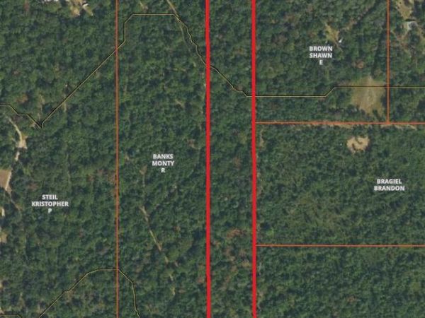 2975 Aarons Road, Lewiston, MI 49756
