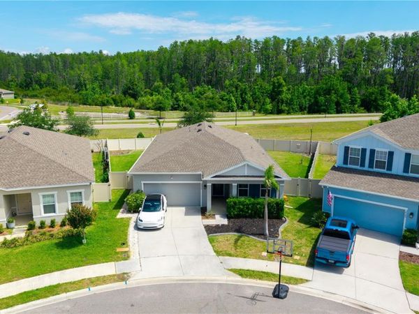 18379 FALLING PINE NEEDLE LANE , LAND O LAKES, FL 34638