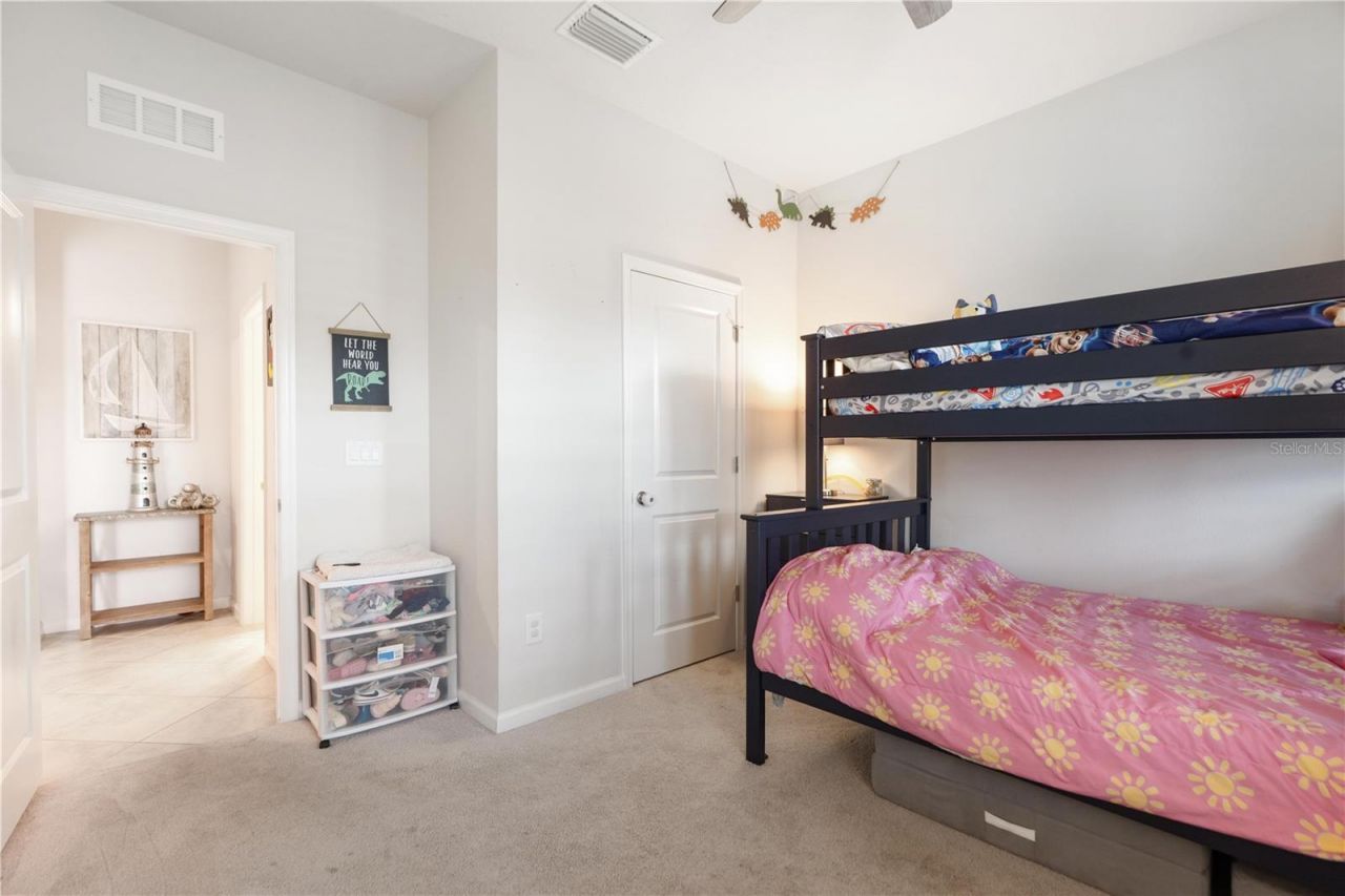 18379 Falling Pine Needle Lane, Land O Lakes, FL 34638 Photo
