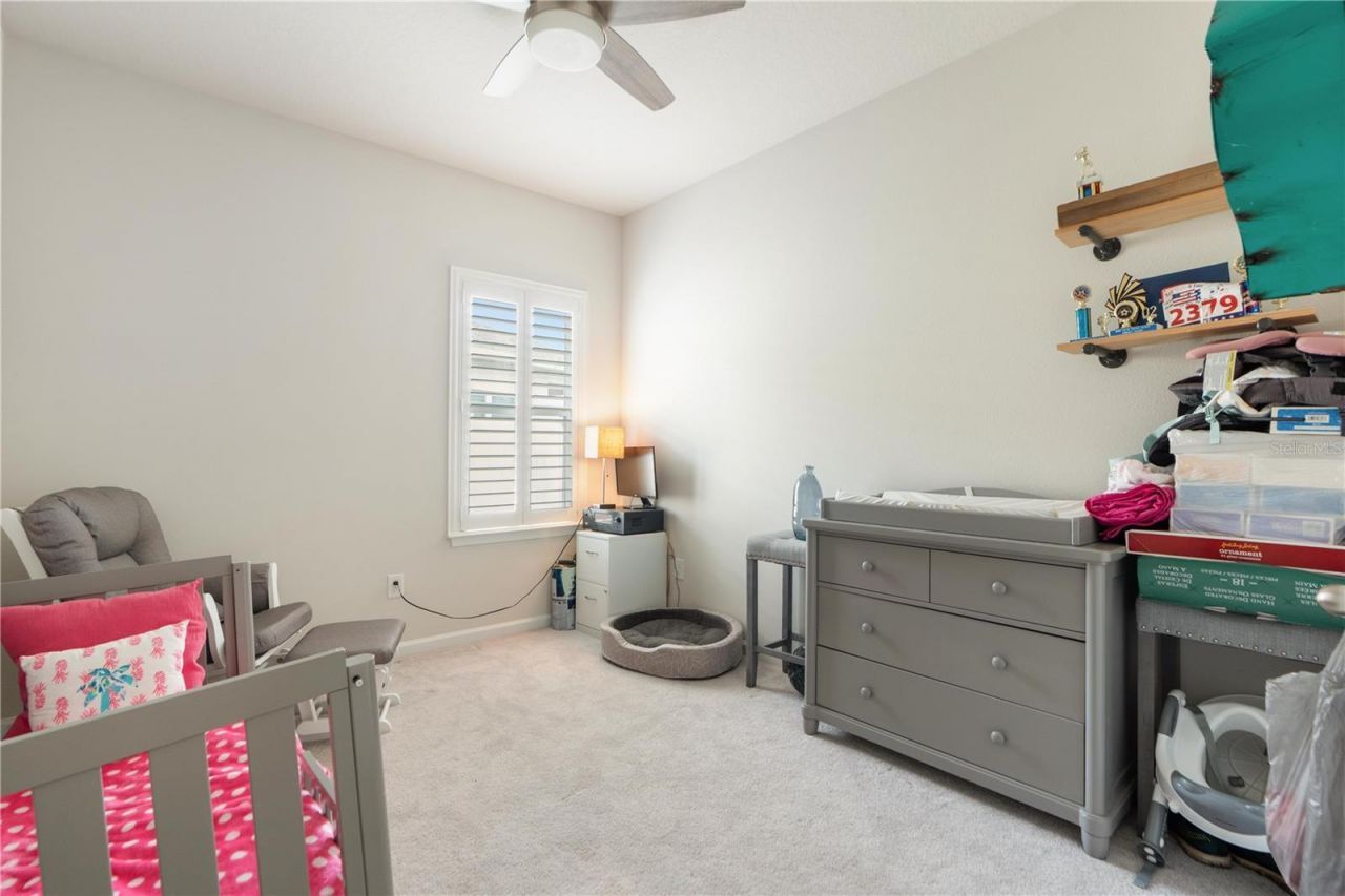 18379 Falling Pine Needle Lane, Land O Lakes, FL 34638 Photo