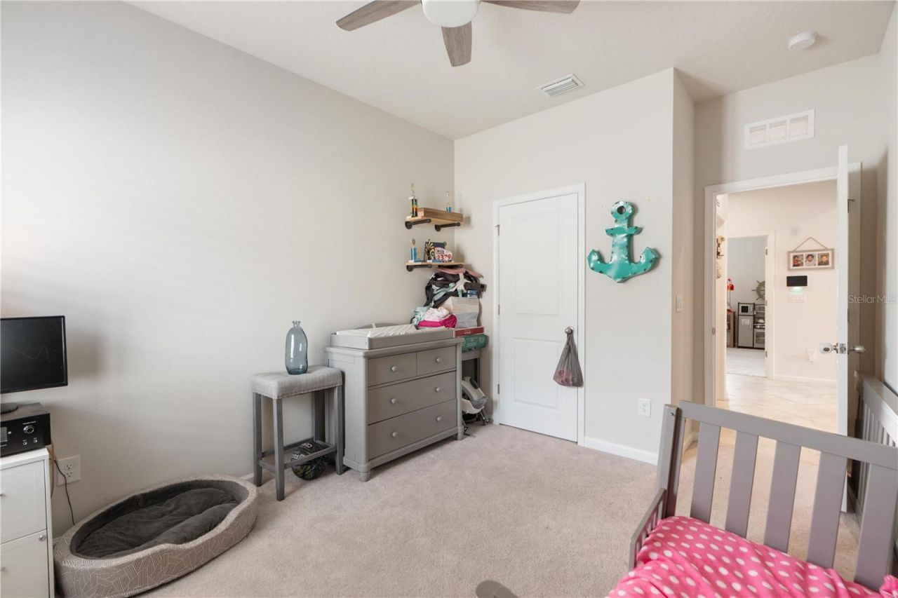 18379 Falling Pine Needle Lane, Land O Lakes, FL 34638 Photo