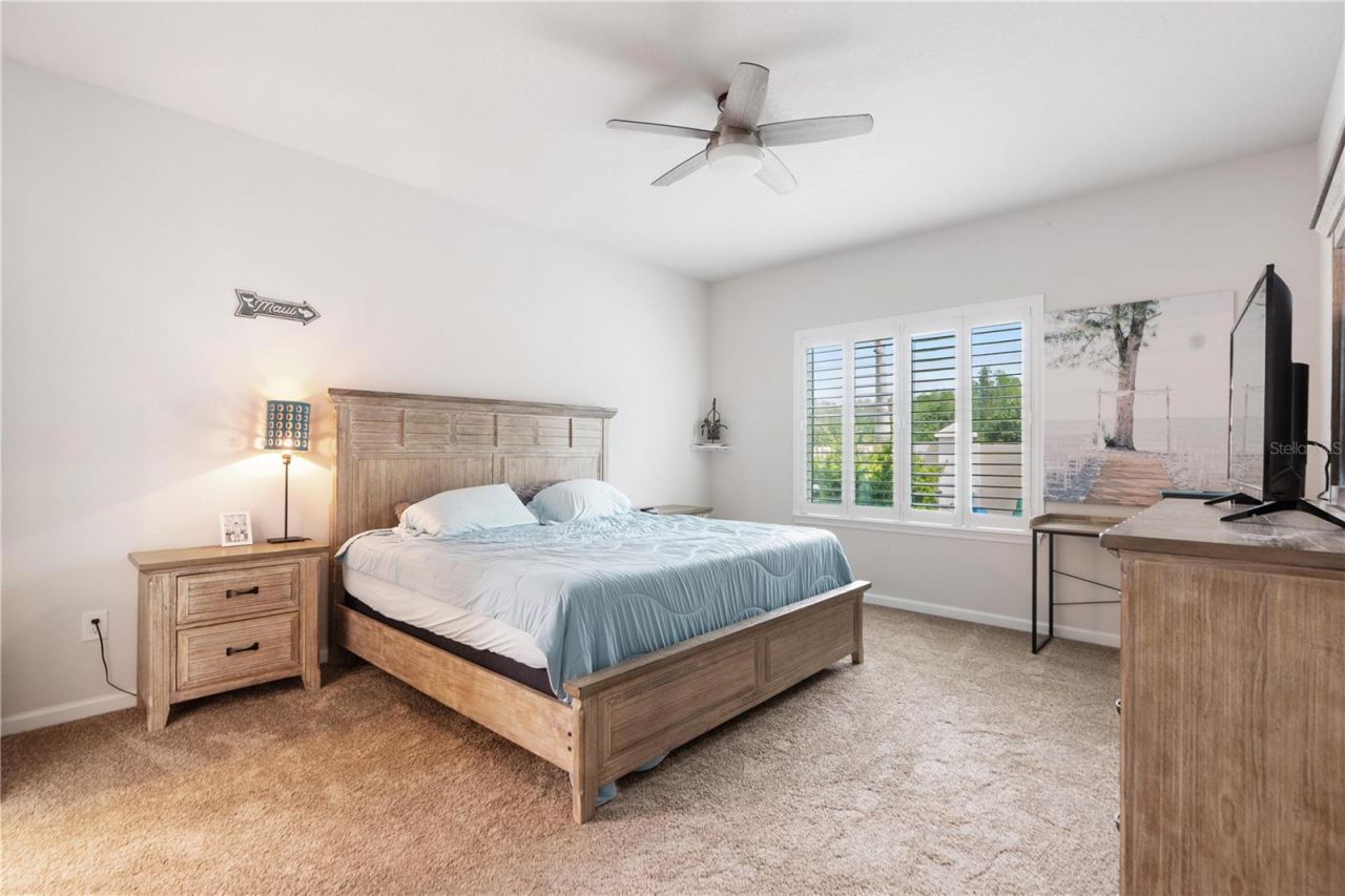 18379 Falling Pine Needle Lane, Land O Lakes, FL 34638 Photo