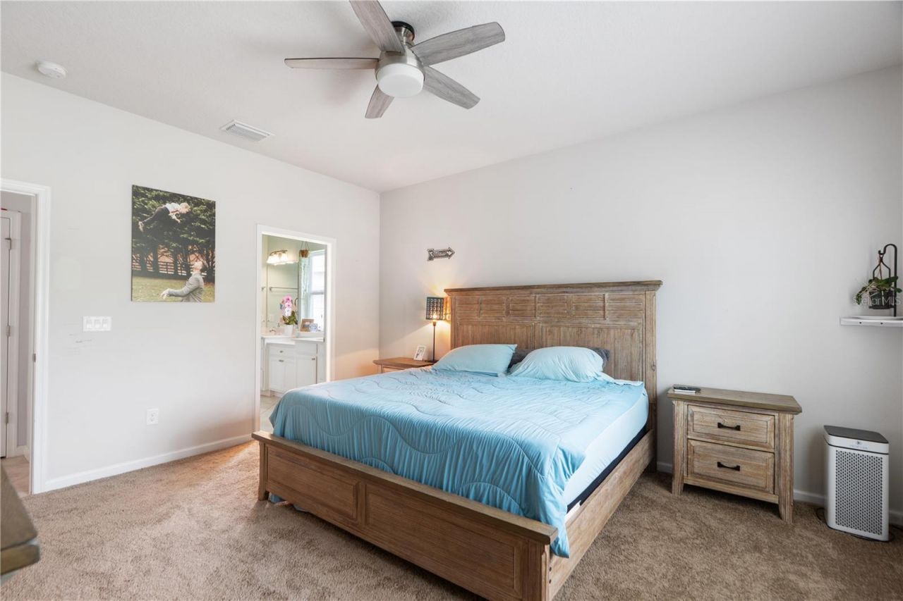 18379 Falling Pine Needle Lane, Land O Lakes, FL 34638 Photo