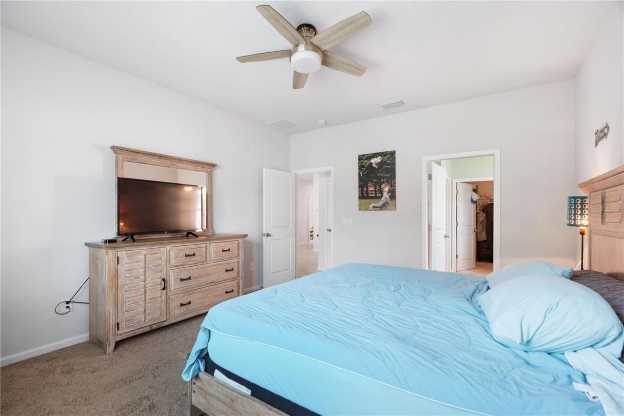 18379 Falling Pine Needle Lane, Land O Lakes, FL 34638 Photo