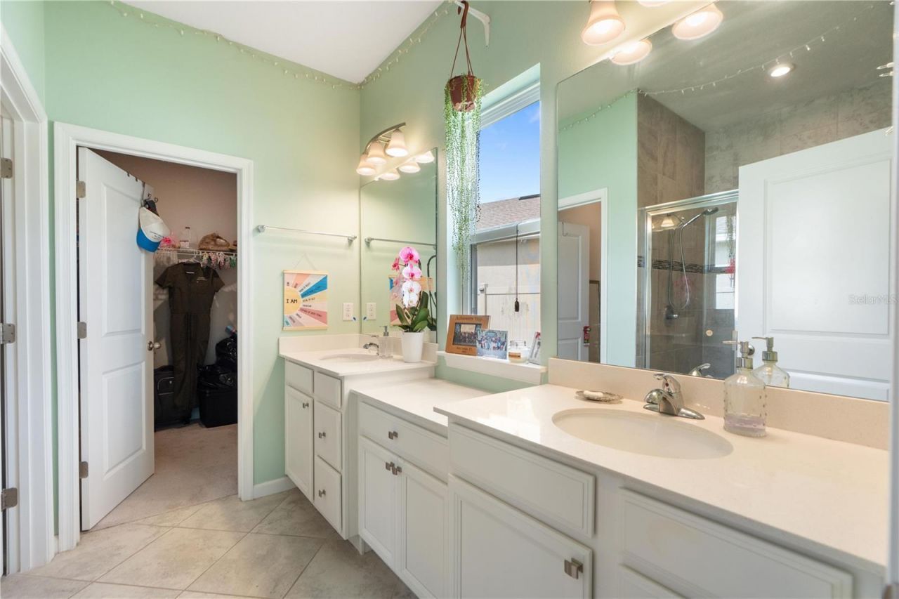 18379 Falling Pine Needle Lane, Land O Lakes, FL 34638 Photo