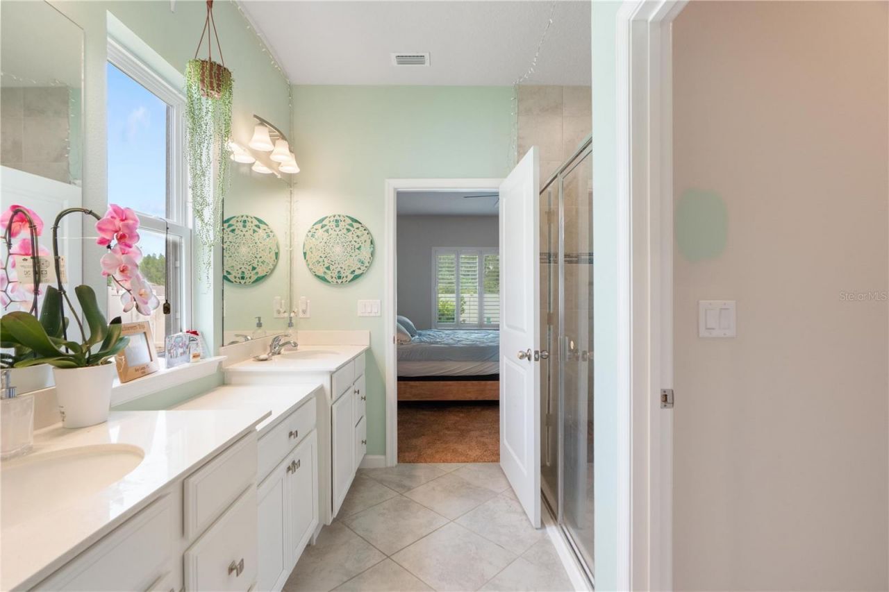 18379 Falling Pine Needle Lane, Land O Lakes, FL 34638 Photo