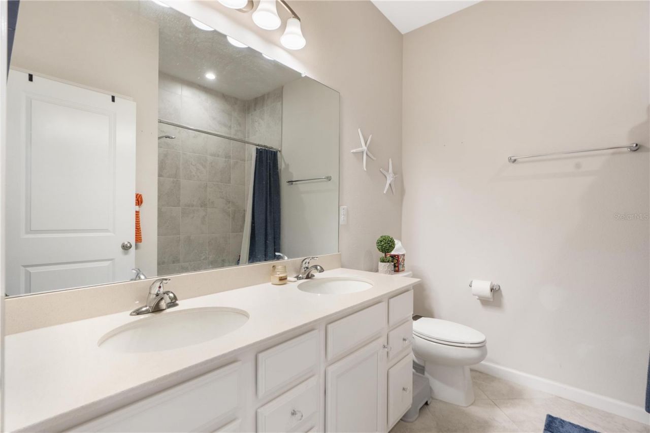 18379 Falling Pine Needle Lane, Land O Lakes, FL 34638 Photo