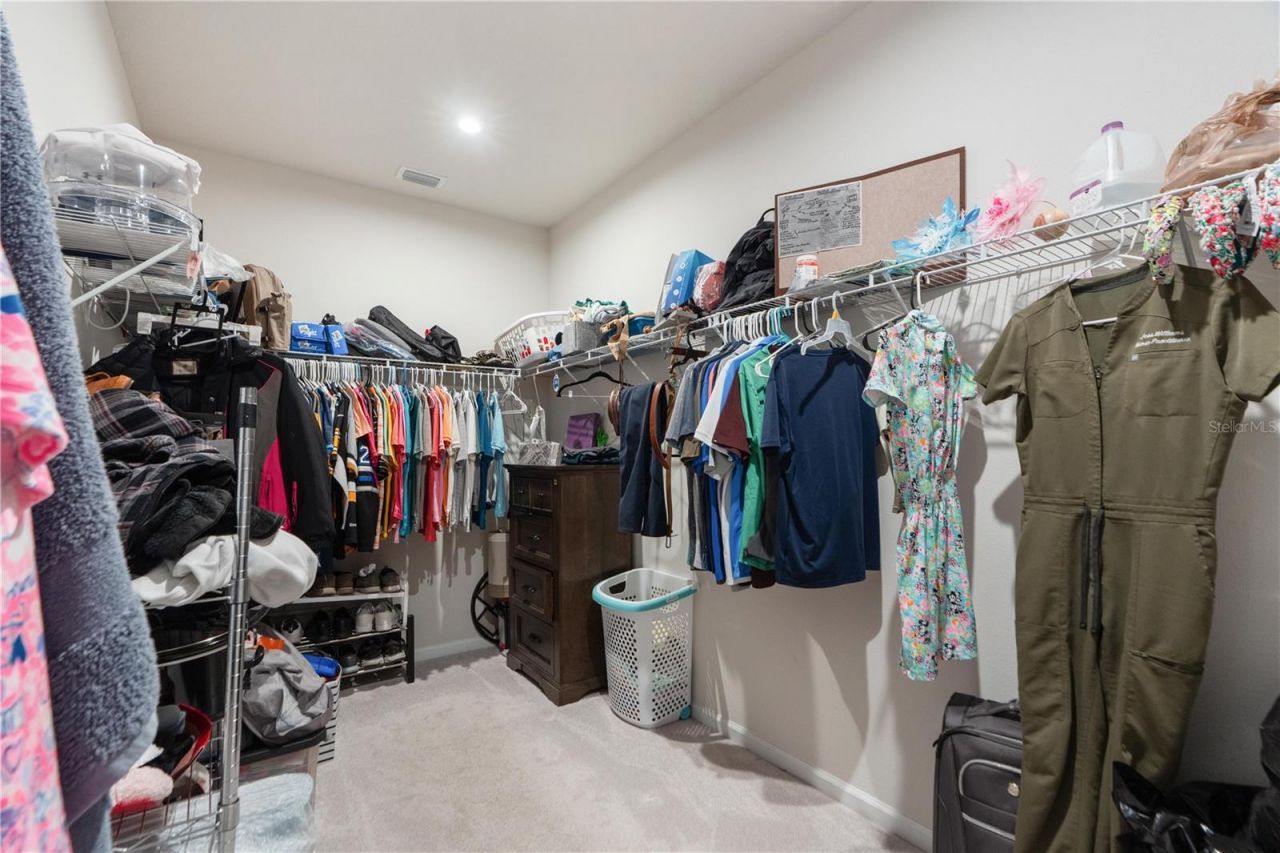 18379 Falling Pine Needle Lane, Land O Lakes, FL 34638 Photo