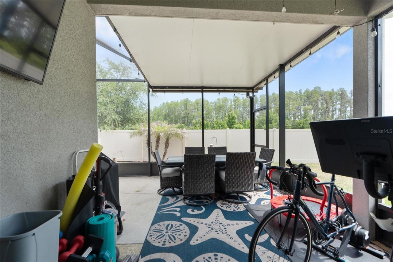 18379 Falling Pine Needle Lane, Land O Lakes, FL 34638 Photo
