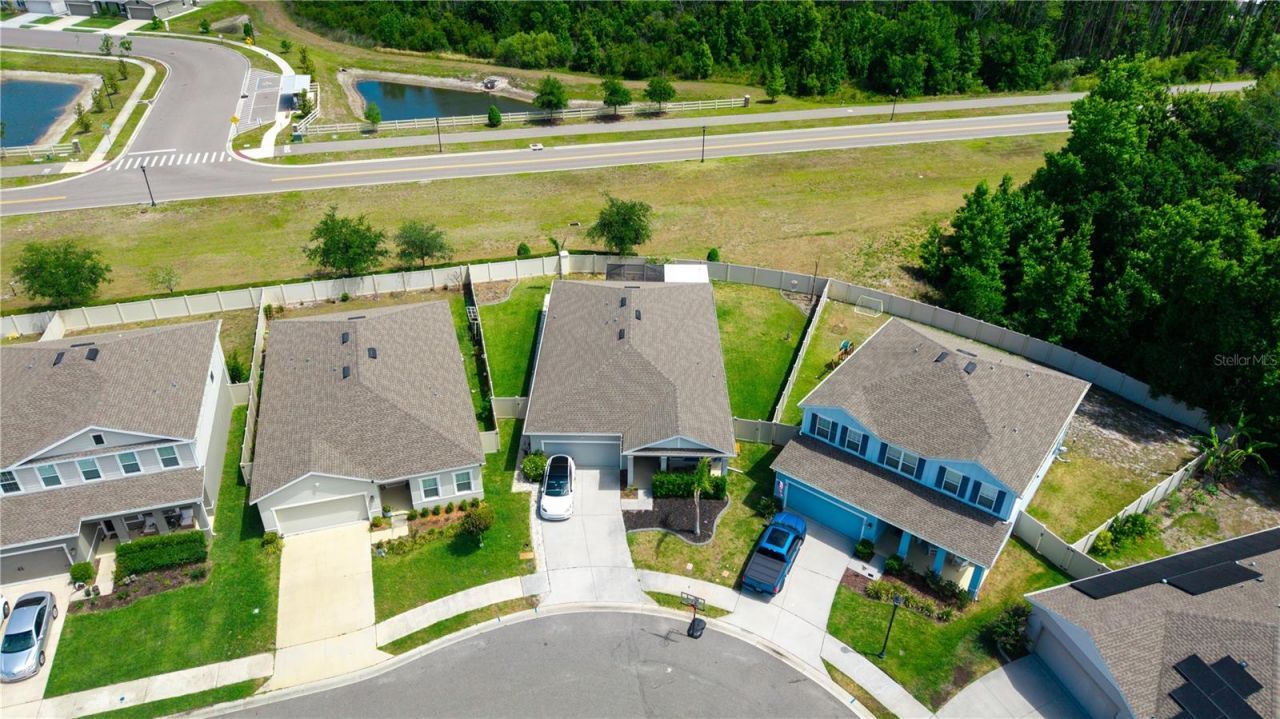 18379 Falling Pine Needle Lane, Land O Lakes, FL 34638 Photo