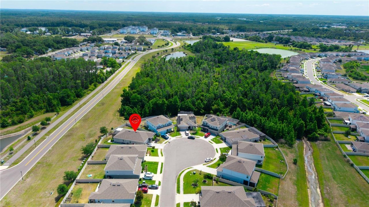18379 Falling Pine Needle Lane, Land O Lakes, FL 34638 Photo