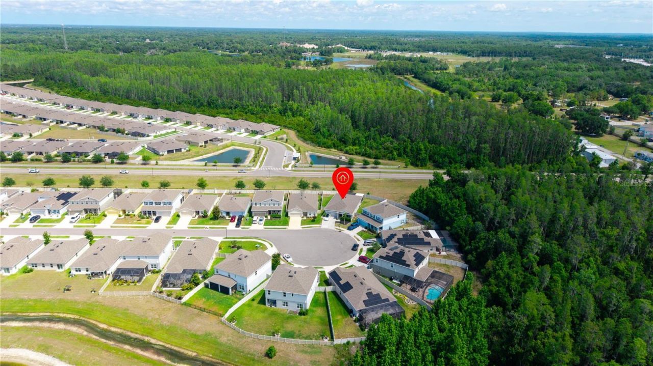 18379 Falling Pine Needle Lane, Land O Lakes, FL 34638 Photo